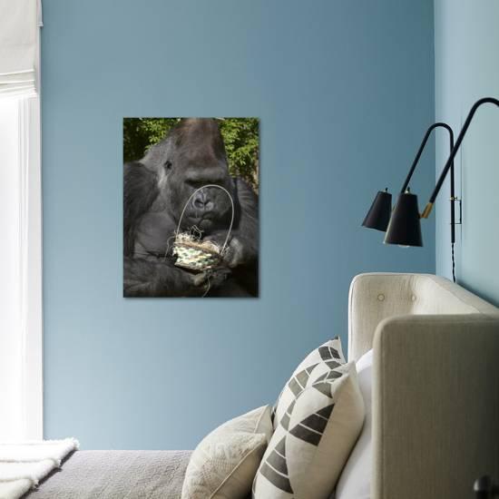 Male Lowland Gorilla With An Easter Basket Given To Him By His