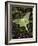 Male Luna Moth-Adam Jones-Framed Photographic Print