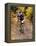 Male Mountain Biker Competing in a Race 1993 NY State Championships-null-Framed Premier Image Canvas
