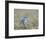 Male Mountain Bluebird (Sialia Currucoides), Yellowstone National Park, UNESCO World Heritage Site,-James Hager-Framed Photographic Print