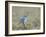 Male Mountain Bluebird (Sialia Currucoides), Yellowstone National Park, UNESCO World Heritage Site,-James Hager-Framed Photographic Print