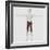 Male Muscle Anatomy of the Human Legs, Anterior View-null-Framed Art Print