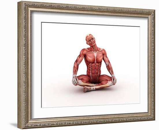 Male Muscles, Artwork-SCIEPRO-Framed Photographic Print