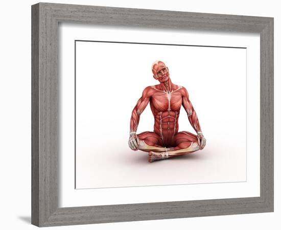 Male Muscles, Artwork-SCIEPRO-Framed Photographic Print