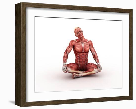 Male Muscles, Artwork-SCIEPRO-Framed Photographic Print