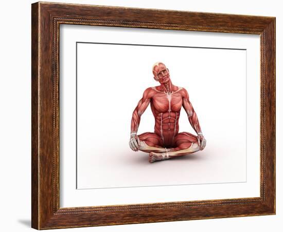 Male Muscles, Artwork-SCIEPRO-Framed Photographic Print