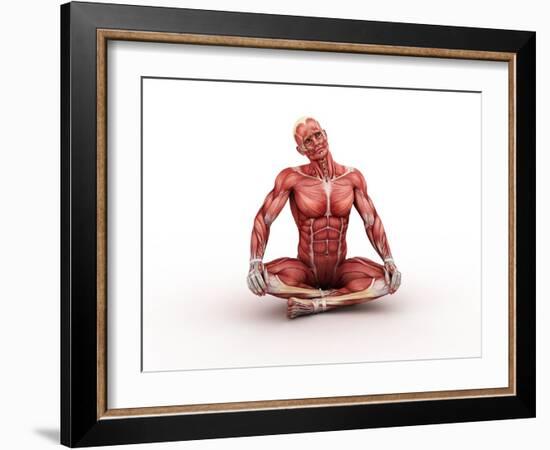 Male Muscles, Artwork-SCIEPRO-Framed Photographic Print