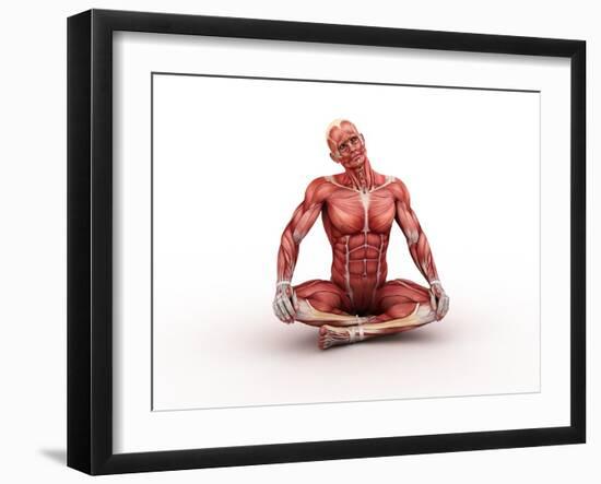 Male Muscles, Artwork-SCIEPRO-Framed Photographic Print