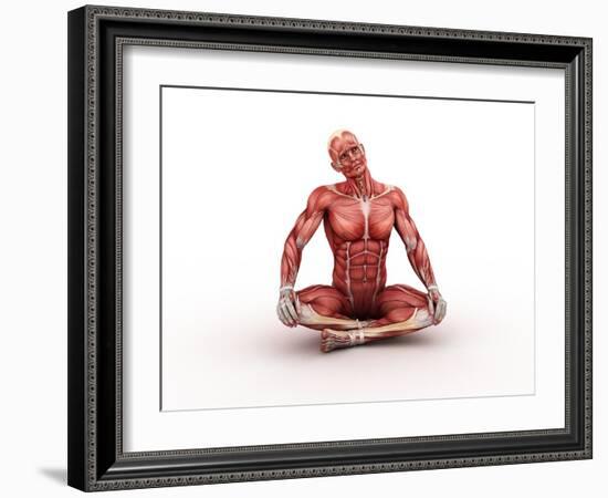 Male Muscles, Artwork-SCIEPRO-Framed Photographic Print