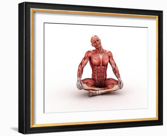 Male Muscles, Artwork-SCIEPRO-Framed Photographic Print