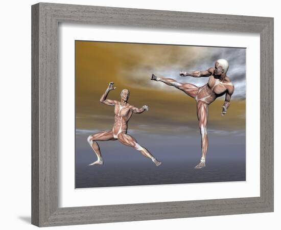 Male Musculature in Fighting Stance-null-Framed Art Print