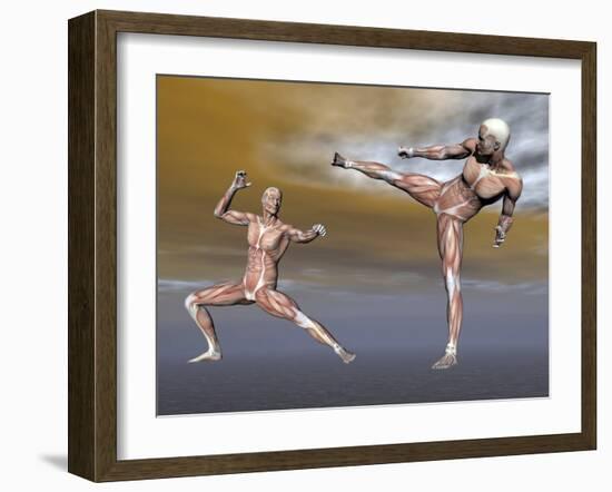 Male Musculature in Fighting Stance-null-Framed Art Print