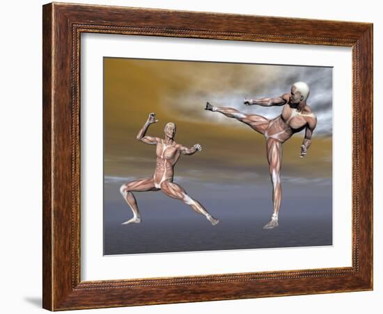 Male Musculature in Fighting Stance-null-Framed Art Print