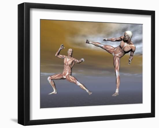 Male Musculature in Fighting Stance-null-Framed Art Print