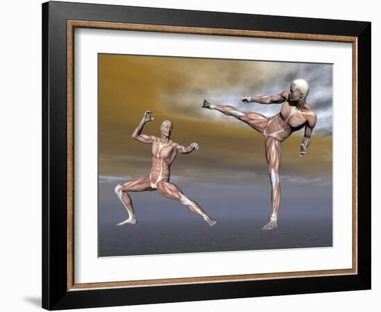 Male Musculature in Fighting Stance-null-Framed Art Print