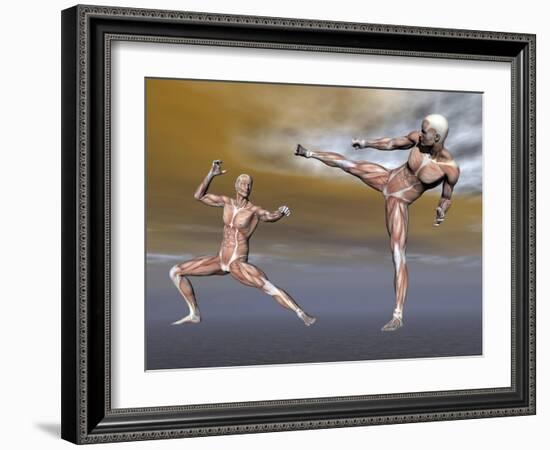 Male Musculature in Fighting Stance-null-Framed Art Print