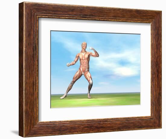 Male Musculature in Fighting Stance-null-Framed Premium Giclee Print