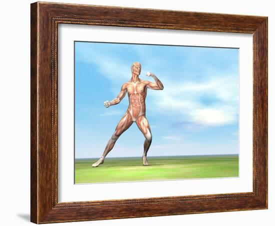 Male Musculature in Fighting Stance-null-Framed Art Print