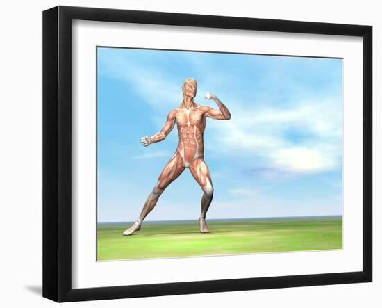 Male Musculature in Fighting Stance-null-Framed Art Print