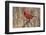 Male northern cardinal in winter, Cardinals cardinals, Kentucky-Adam Jones-Framed Photographic Print