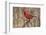 Male northern cardinal in winter, Cardinals cardinals, Kentucky-Adam Jones-Framed Photographic Print