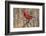 Male northern cardinal in winter, Cardinals cardinals, Kentucky-Adam Jones-Framed Photographic Print