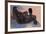 Male Nude I-Boscoe Holder-Framed Premium Giclee Print