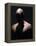 Male Nude in Shadows-null-Framed Premier Image Canvas
