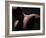 Male Nude in Shadows-null-Framed Photographic Print