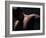 Male Nude in Shadows-null-Framed Photographic Print