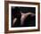 Male Nude in Shadows-null-Framed Photographic Print