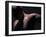 Male Nude in Shadows-null-Framed Photographic Print