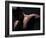 Male Nude in Shadows-null-Framed Photographic Print