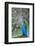 Male Peacock with fanned out tail, South Carolina-Darrell Gulin-Framed Photographic Print