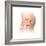 Male Pelvic Region, Artwork-Henning Dalhoff-Framed Premium Photographic Print