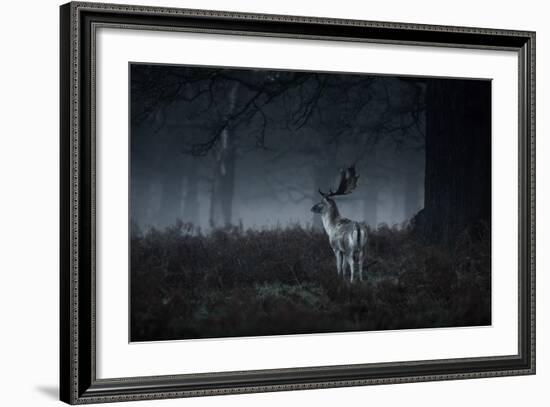 Male Red Deer Stag, Cervus Elaphus, in London's Richmond Park-Alex Saberi-Framed Photographic Print