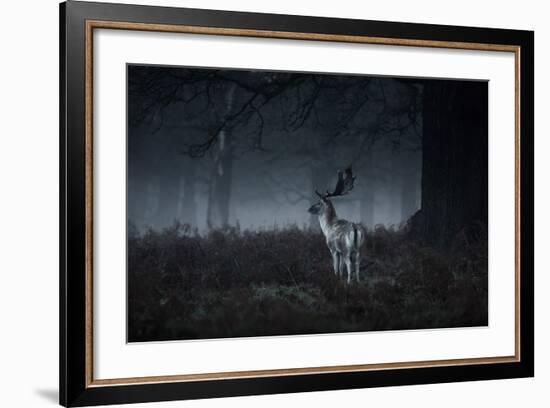 Male Red Deer Stag, Cervus Elaphus, in London's Richmond Park-Alex Saberi-Framed Photographic Print