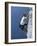 Male Rock Climber Reaching for a Grip-null-Framed Photographic Print