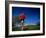 Male Runner Out for a Fitness Run, New York, New York, USA-Chris Trotman-Framed Photographic Print