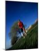 Male Runner Out for a Fitness Run, New York, New York, USA-Chris Trotman-Mounted Photographic Print