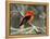 Male Scarlet Tanager-Adam Jones-Framed Premier Image Canvas