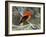 Male Scarlet Tanager-Adam Jones-Framed Photographic Print