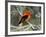 Male Scarlet Tanager-Adam Jones-Framed Photographic Print