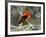 Male Scarlet Tanager-Adam Jones-Framed Photographic Print