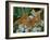 Male Silver-washed fritillary butterflies on wildflower-Jussi Murtosaari-Framed Photographic Print