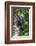 Male Silvery-Cheeked Hornbill at its Nest, Lake Manyara NP, Tanzania-James Heupel-Framed Photographic Print