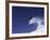 Male Snowboarder Flying Through the Air-null-Framed Photographic Print