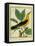 Male South American Yellow Oriole-Georges-Louis Buffon-Framed Premier Image Canvas