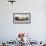 Male Southern elephant seal after breeding period on the Falkland Islands.-Martin Zwick-Framed Photographic Print displayed on a wall