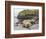 Male Southern elephant seal after breeding period on the Falkland Islands.-Martin Zwick-Framed Photographic Print